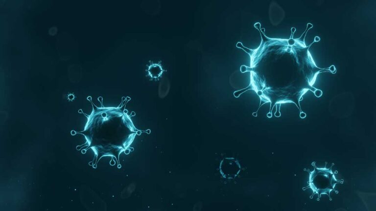 Financial support for small businesses during Coronavirus 2020